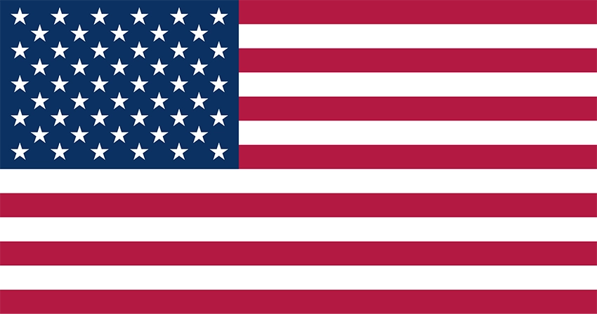 US Flag - US Immigration